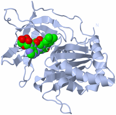 Image Biological Unit 1