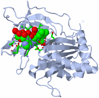 Image Biol. Unit 1 - sites