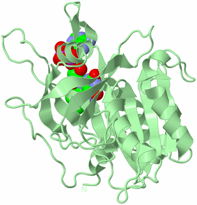 Image Biological Unit 2