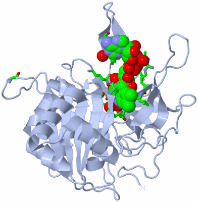 Image Biol. Unit 1 - sites