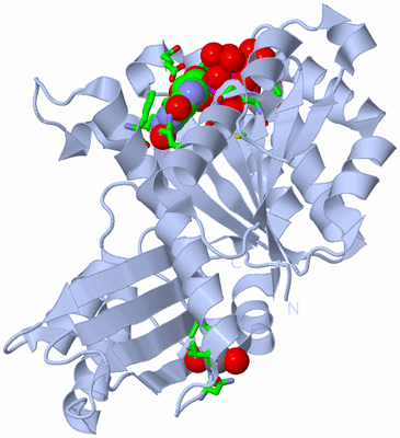 Image Biol. Unit 1 - sites