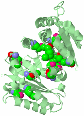 Image Biological Unit 2