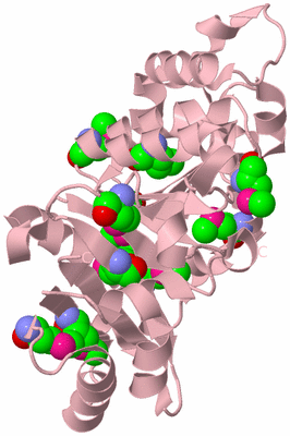 Image Biological Unit 3