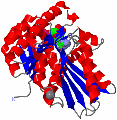 Image Asym./Biol. Unit