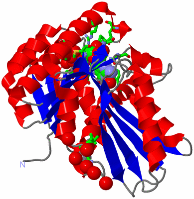 Image Asym./Biol. Unit - sites