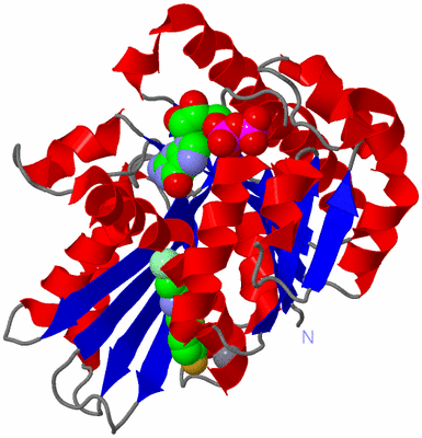 Image Asym./Biol. Unit