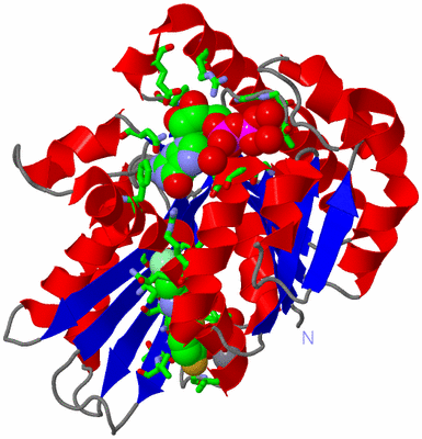 Image Asym./Biol. Unit - sites