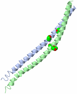 Image Asymmetric Unit