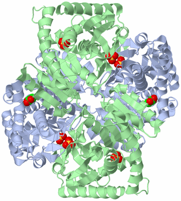 Image Biological Unit 1