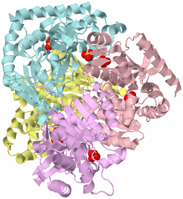 Image Biological Unit 2