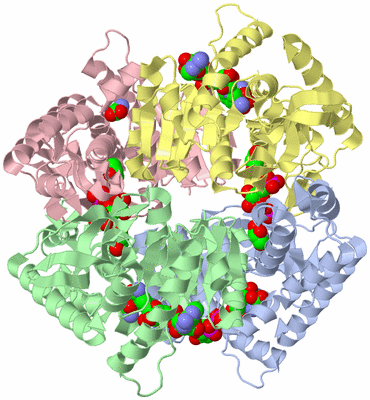 Image Asym./Biol. Unit