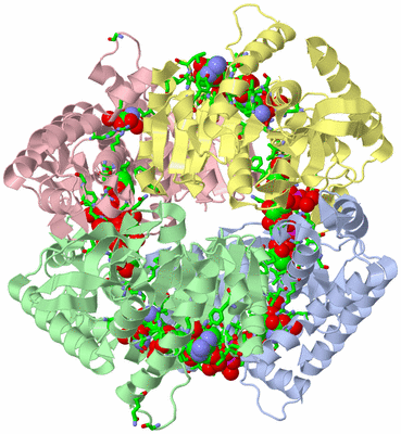 Image Asym./Biol. Unit - sites