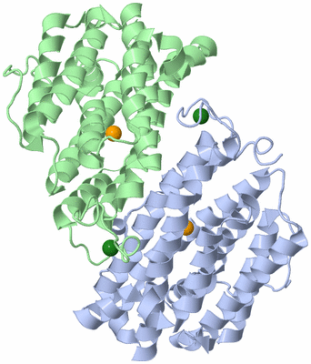 Image Asym./Biol. Unit