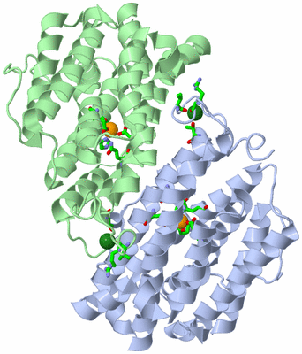 Image Asym./Biol. Unit - sites