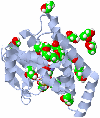 Image Biological Unit 2