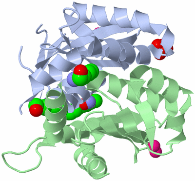 Image Asym./Biol. Unit