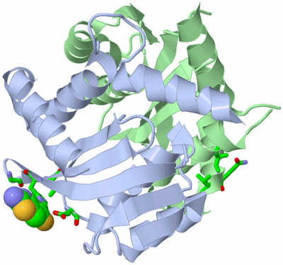 Image Biol. Unit 1 - sites