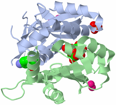 Image Asym./Biol. Unit