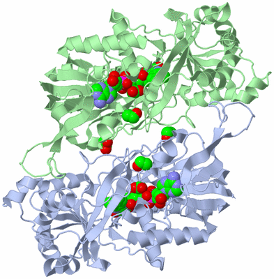 Image Asym./Biol. Unit