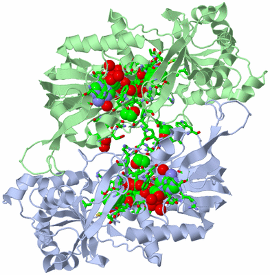 Image Asym./Biol. Unit - sites