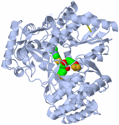 Image Biological Unit 1