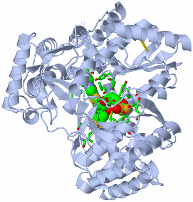 Image Biol. Unit 1 - sites