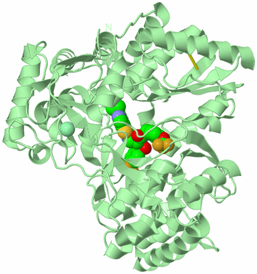 Image Biological Unit 2