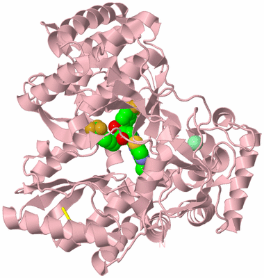 Image Biological Unit 3