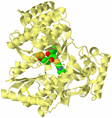 Image Biological Unit 4