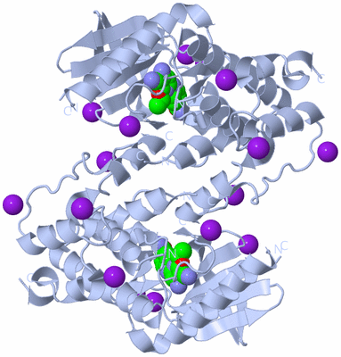 Image Biological Unit 2