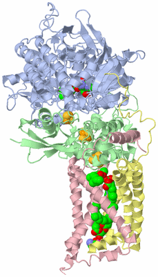 Image Biological Unit 1