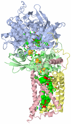 Image Biol. Unit 1 - sites