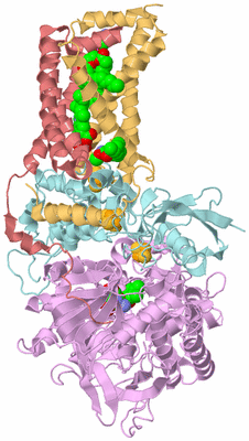 Image Biological Unit 2