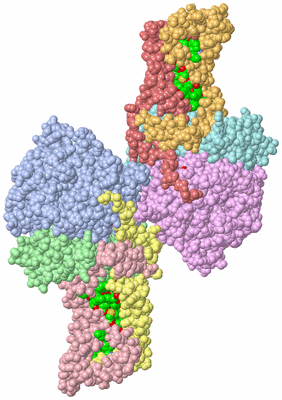 Image Asym. Unit - sites