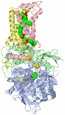 Image Biological Unit 1