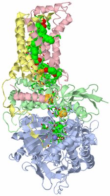 Image Biol. Unit 1 - sites