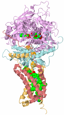 Image Biological Unit 2