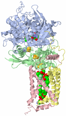 Image Biological Unit 1