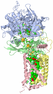 Image Biol. Unit 1 - sites