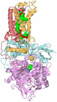 Image Biological Unit 2