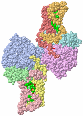 Image Asym. Unit - sites