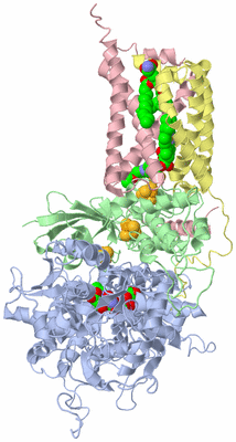 Image Biological Unit 1