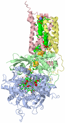 Image Biol. Unit 1 - sites