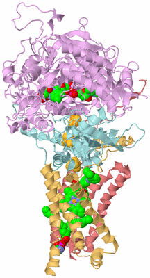 Image Biological Unit 2