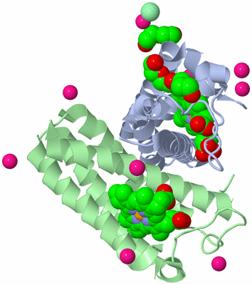 Image Asym./Biol. Unit