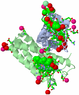 Image Asym./Biol. Unit - sites