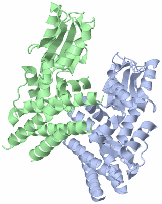 Image Biological Unit 3