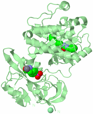 Image Biological Unit 2