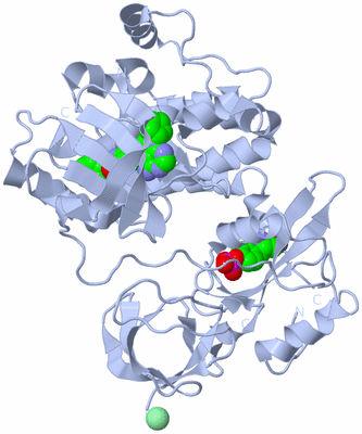 Image Biological Unit 1