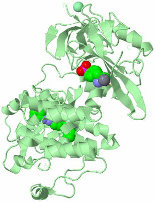 Image Biological Unit 2